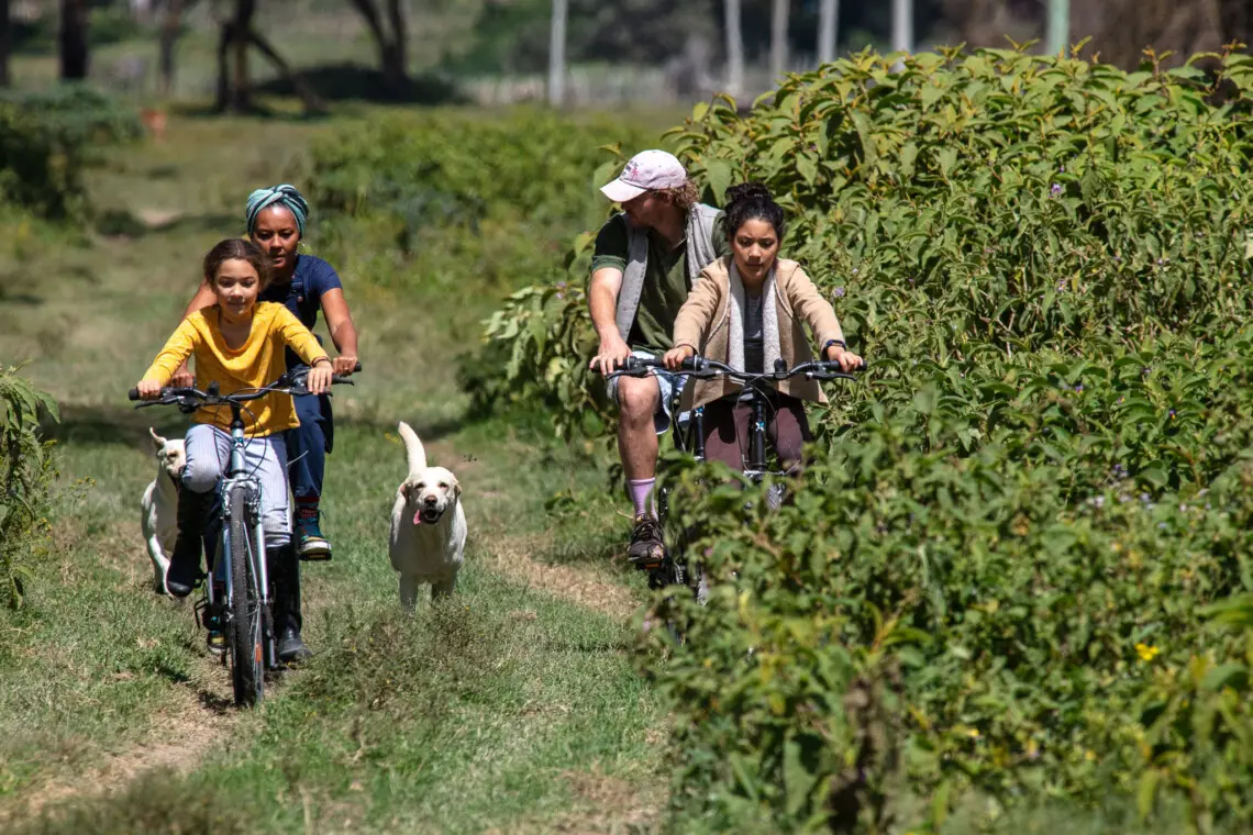 Bike Riding